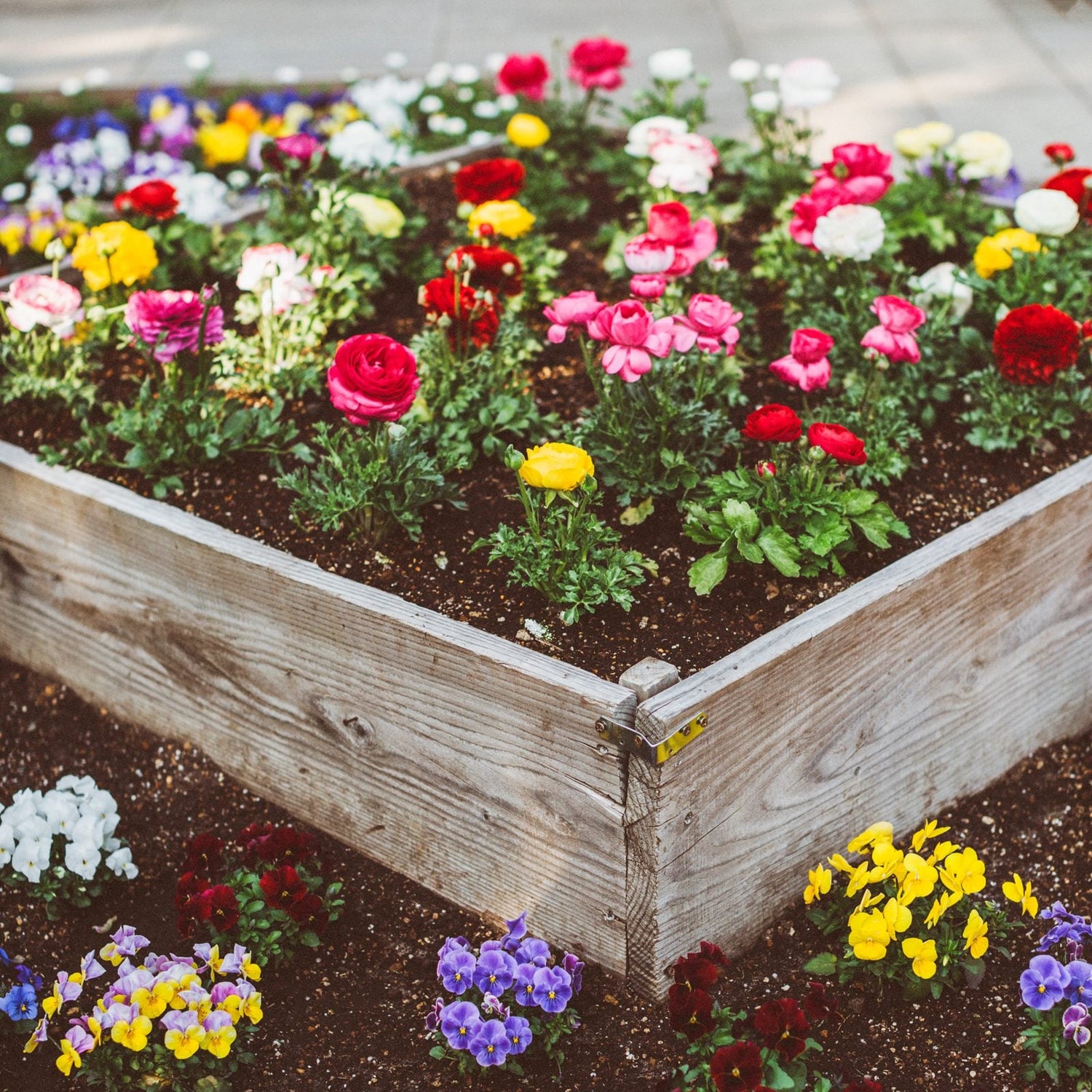 Garden Essentials