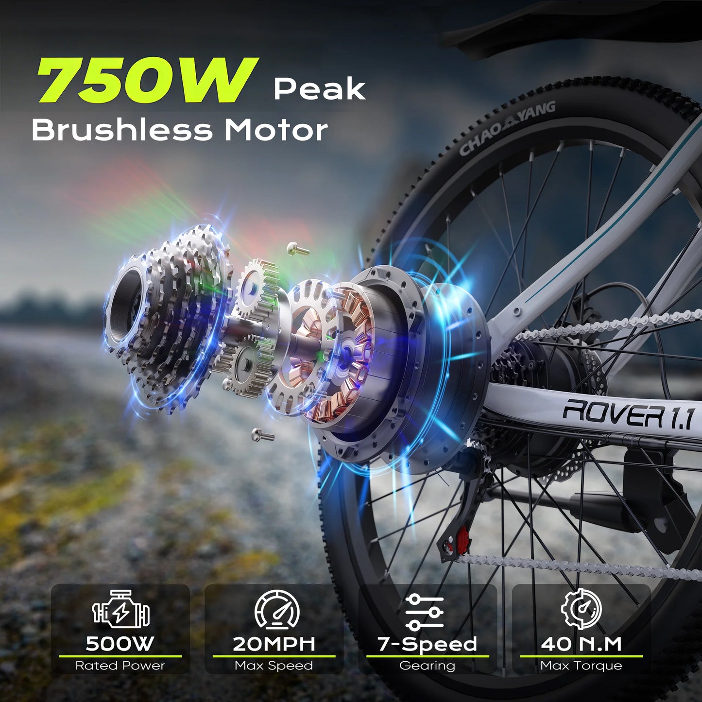VIPDRIVE Rover 1.1 Adult Electric Bike, 750W Peak Power, 48V 7.8Ah, 24" MTB E-bike, 20MPH Mountain Ebike, 1-Year Warranty