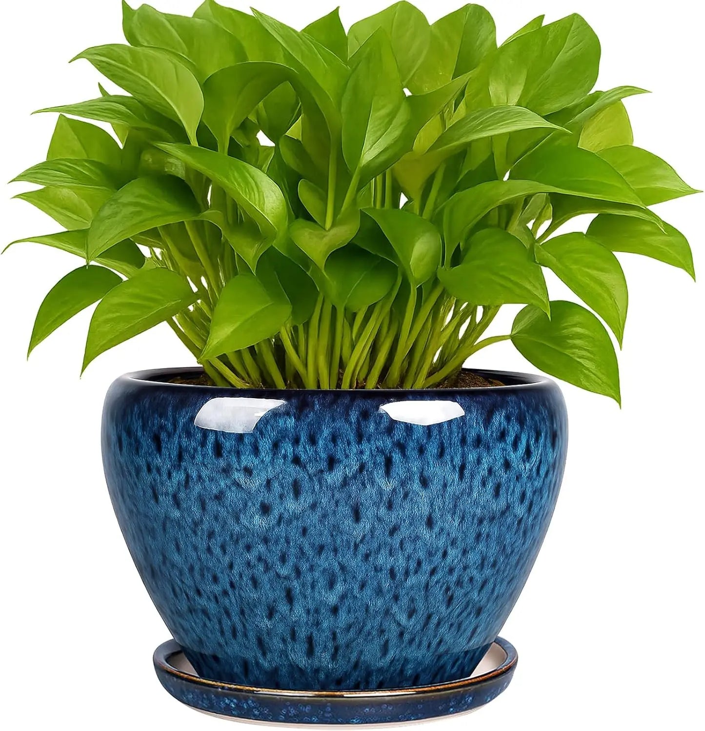 6 Inch Ceramic Plant Pot with Drainage Hole and Saucer, Blue Planter for Indoor Outdoor Succulents and Cacti