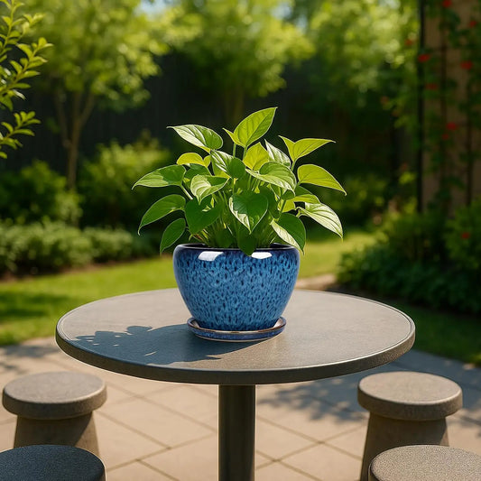 6 Inch Ceramic Plant Pot with Drainage Hole and Saucer, Blue Planter for Indoor Outdoor Succulents and Cacti