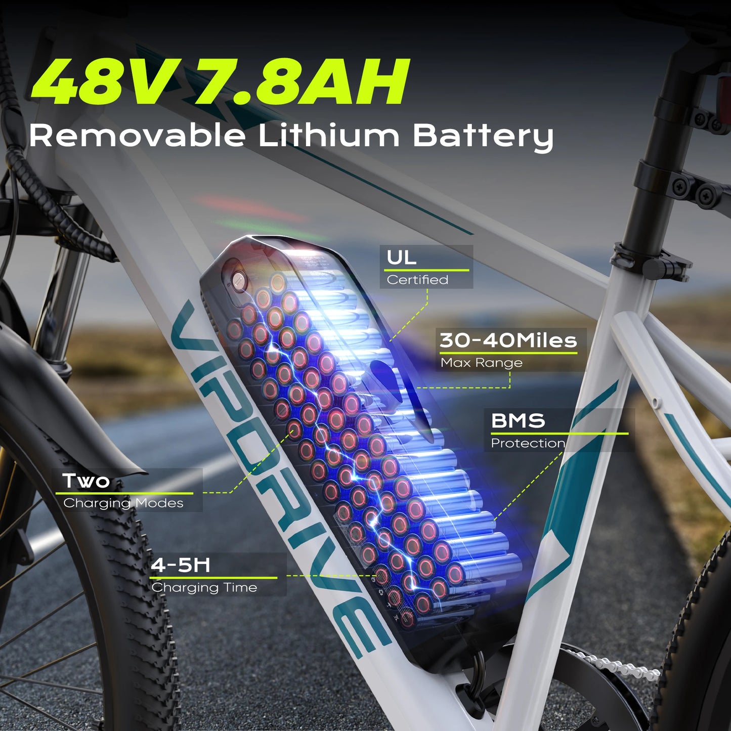 VIPDRIVE Rover 1.1 Adult Electric Bike, 750W Peak Power, 48V 7.8Ah, 24" MTB E-bike, 20MPH Mountain Ebike, 1-Year Warranty