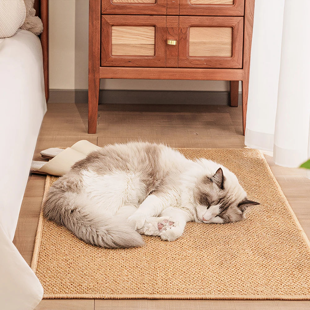 Door Mat Front Entrance Welcome Mat Kitchen Mat Outdoor Indoor Entryway Rug Non-Slip Washable Doormat